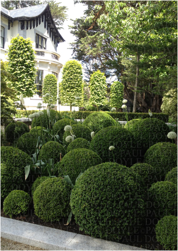 Regent's Garden